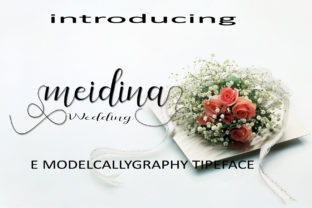Meidina Font Review: Elevating Small Business Branding