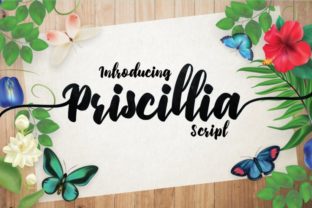Priscillia Font for Boutique Web Design and Branding