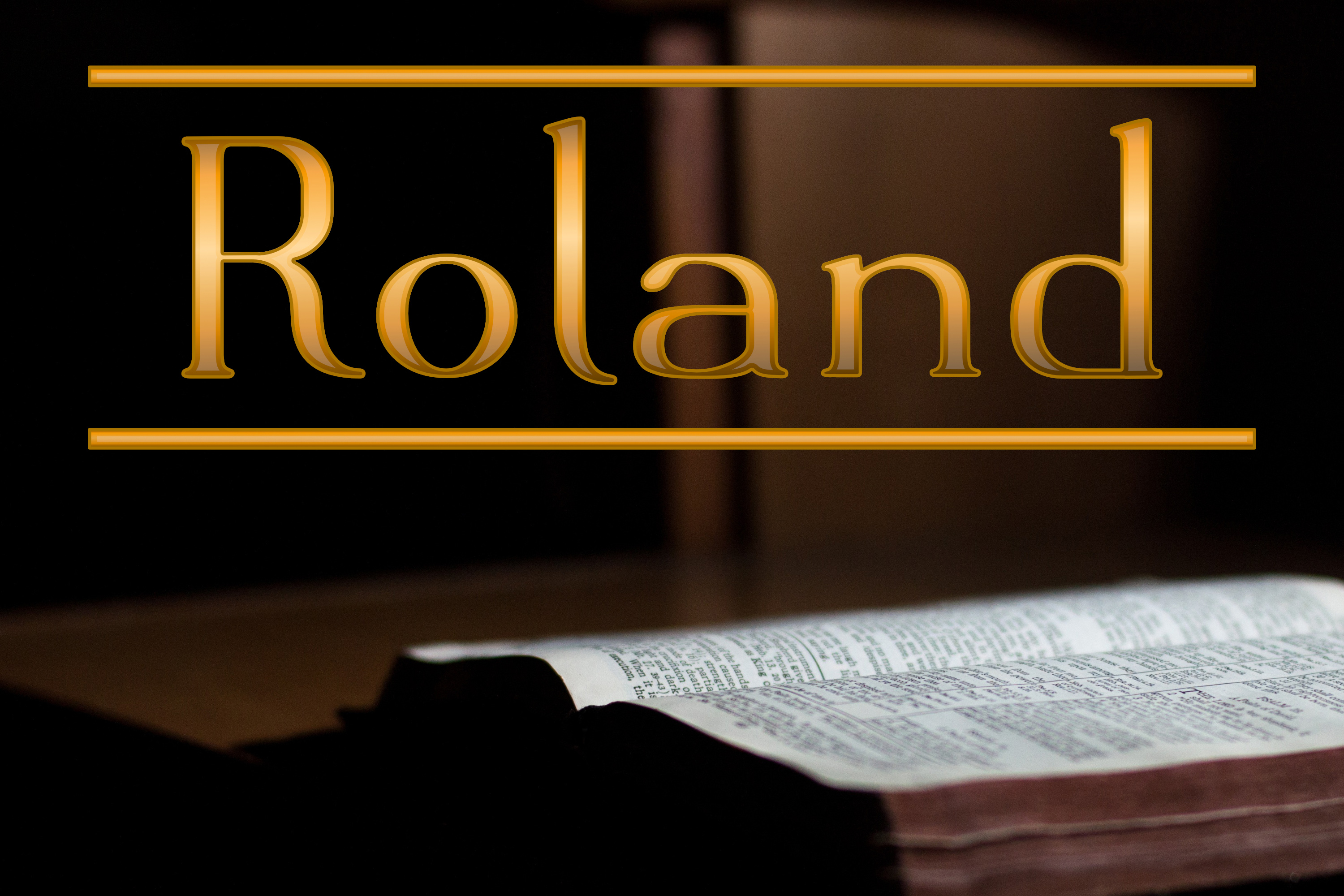 Roland Font: Elevating Small Business Brand Identity