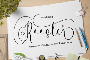 Rooster Script Font Review for Digital Campaigns