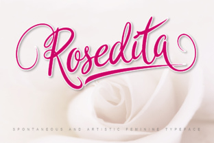 Rosedita Font: Elevating Campaign Visuals with Script Style